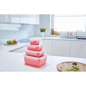 Produktbild für Frischhaltedose Emsa Clip&amp;Close N10123, aus Kunststoff