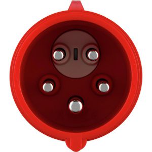 Produktbild für CEE-Stecker REV-Ritter 0512542555, 5-polig