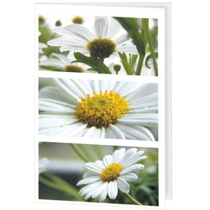 Produktbild für Grußkarten Sigel DC171, Romance