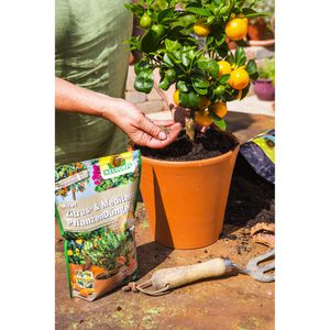 Produktbild für Blumenerde Neudorff NeudoHum Zitruspflanzenerde
