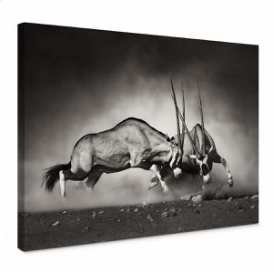 Produktbild für Wandbild AS-Creation Antilopen Duell