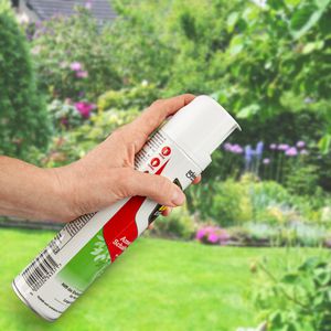 Produktbild für Insektenspray Raid Essentials Ameisen- &amp;