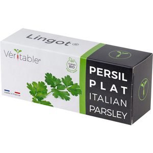 Saatpad Veritable Lingot, Italienische Petersilie