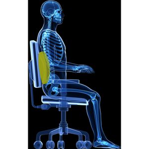 Produktbild für Rückenstütze DESQ 1341