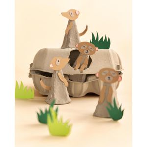 Produktbild für Kraftpapier Folia 692/4/98 Kraftkarton, braun, A4