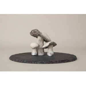 Produktbild für Modelliermasse Rayher 3450102 Lufttrocknender Ton
