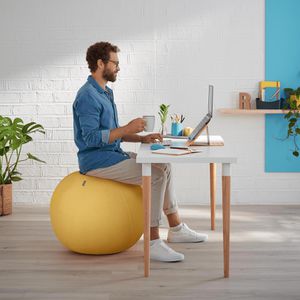 Produktbild für Sitzball Leitz Ergo Cosy Active, belastbar bis 100 kg
