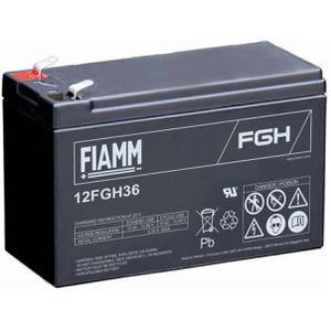 AGM-Batterie FIAMM 12FGH36
