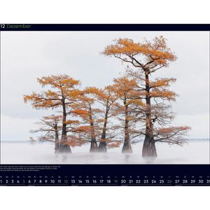 Produktbild für Bildkalender Kunth 761523, Alte Bäume, Jahr 2027