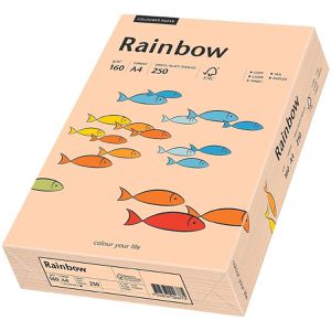 Produktbild für Kopierpapier Papyrus Rainbow 88042505