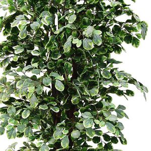 Produktbild für Kunstpflanze Decovego Ficus Benjamin