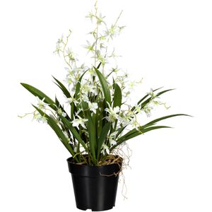 Produktbild für Kunstblume Creativ-green Orchidee, Oncydie