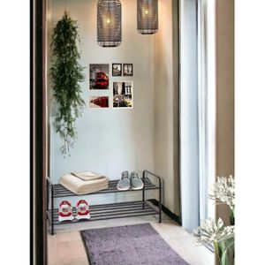 Produktbild für Schuhregal Haku-Möbel 25560, aus Metall