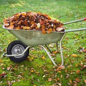 Produktbild für Schubkarrenrad Relaxdays 4.80/4.00-8, luftbereift