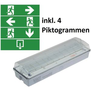 Produktbild für Notbeleuchtung ChiliTec NL-W1, Fluchtwegleuchte, LED mit Akku