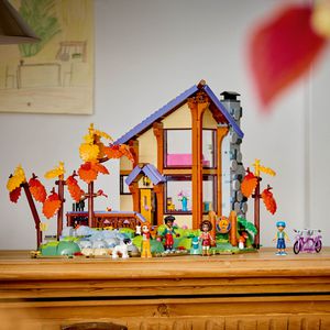 Produktbild für Klemmbausteine LEGO Friends 42705, ab 9 Jahre