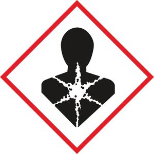 Produktbild für Bauschaum Fischer PUP 500 G B2