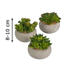 Creativ-green Kunstpflanze Sukkulenten-Mix, Höhe 8-10 cm, im Zement-Topf, 3  Stück – Böttcher AG