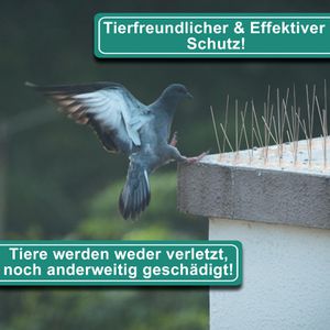 Produktbild für Vogelabwehr PRIOstahl Taubenspikes, 5 Meter