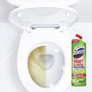 Produktbild für WC-Reiniger Domestos Kraft &amp; Frische Lime Fresh, Gel