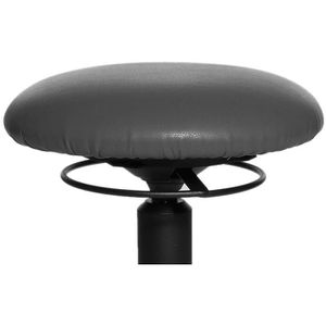 Produktbild für Fitness-Hocker Topstar Body Balance 10, BAL10 S12