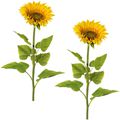 kunstblume
