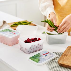 Produktbild für Frischhaltedose Rotho Domino, aus Kunststoff