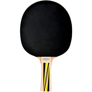 Produktbild für Tischtennisschläger Donic-Schildkröt Top-Team 500