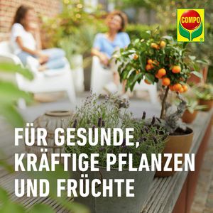 Produktbild für Blumenerde Compo Bio Zitruspflanzenerde