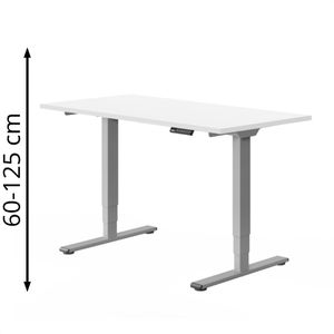 Produktbild für Schreibtisch FlexiSpot E5S, weiß / grau