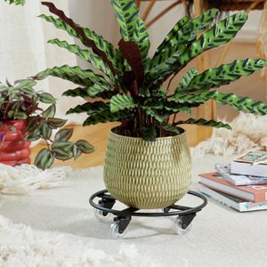 Produktbild für Pflanzenroller Wagner-System GH 0953, für innen