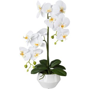 Kunstblume Creativ-green Orchidee, Phalaenopsis