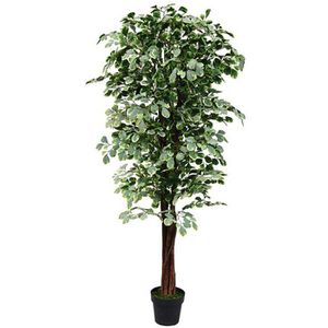 Produktbild für Kunstpflanze Decovego Ficus Benjamin