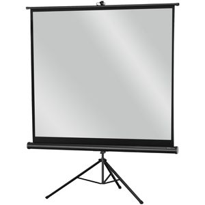 Beamer-Leinwand Celexon Economy