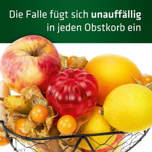 Produktbild für Fruchtfliegenfalle Gardigo Mini mit Klebefalle, 666702INT