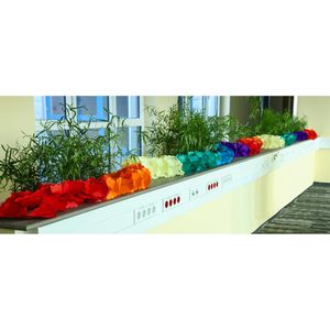 Produktbild für Girlande Papstar 82839 Rainbow, 10m