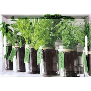 Serviertablett Kesper Herbs 77334, eckig, 50x35cm