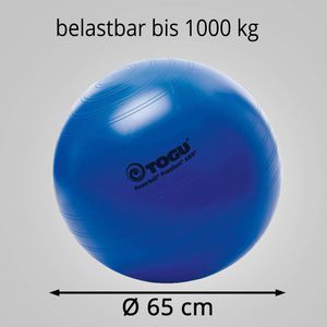 Produktbild für Gymnastikball Togu Powerball Premium ABS