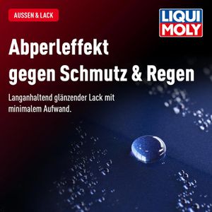 Produktbild für Lackversiegelung Liqui-Moly 21611, Detailer