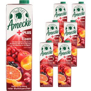 Produktbild für Saft Amecke + Eisen, ohne Zuckerzusatz