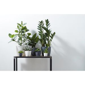 Produktbild für Übertopf elho Brussels Rund, anthrazit, Ø 14 x 13 cm