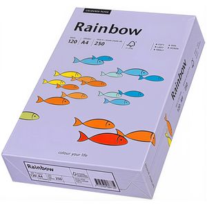 Produktbild für Kopierpapier Papyrus Rainbow 88042568