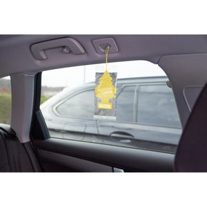Produktbild für Autoduft Wunderbaum 134201, Zitrone