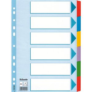 Register Esselte 100168, Mylar, A4, blanko