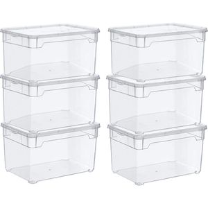 Rotho Clear transparente 4 x 5l 33.0 x 19.0 x 24.0 cm Juego de 4 cajas de almacenamiento de 5l con tapa Plástico PP sin BPA 