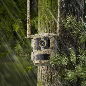 Produktbild für Wildkamera Reolink Camovue Talon Pro S130 LTE 4G