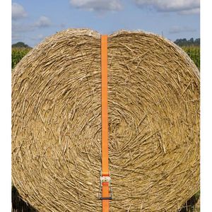 Produktbild für Spanngurt Kerbl 37155, orange, mit Haken &amp; Ratsche