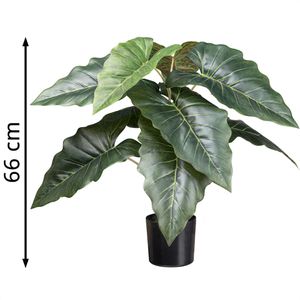 Produktbild für Kunstpflanze Creativ-green Taropflanze