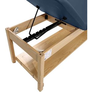 Produktbild für Behandlungsliege Teqler T146714, aus Holz, blau