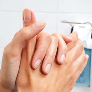 Produktbild für Desinfektionsmittel Sterillium 9816840, Pure